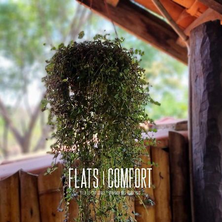 Hotel Novidade Flats Comfort Na Vila De Sao Jorge - Chapada Dos Veadeiros Exteriér fotografie